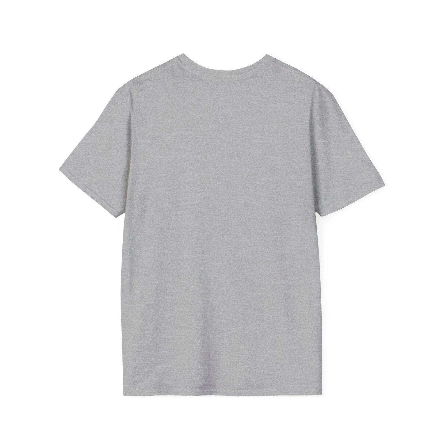 'That setback was a Setup for Success' - Unisex soft style T-Shirt