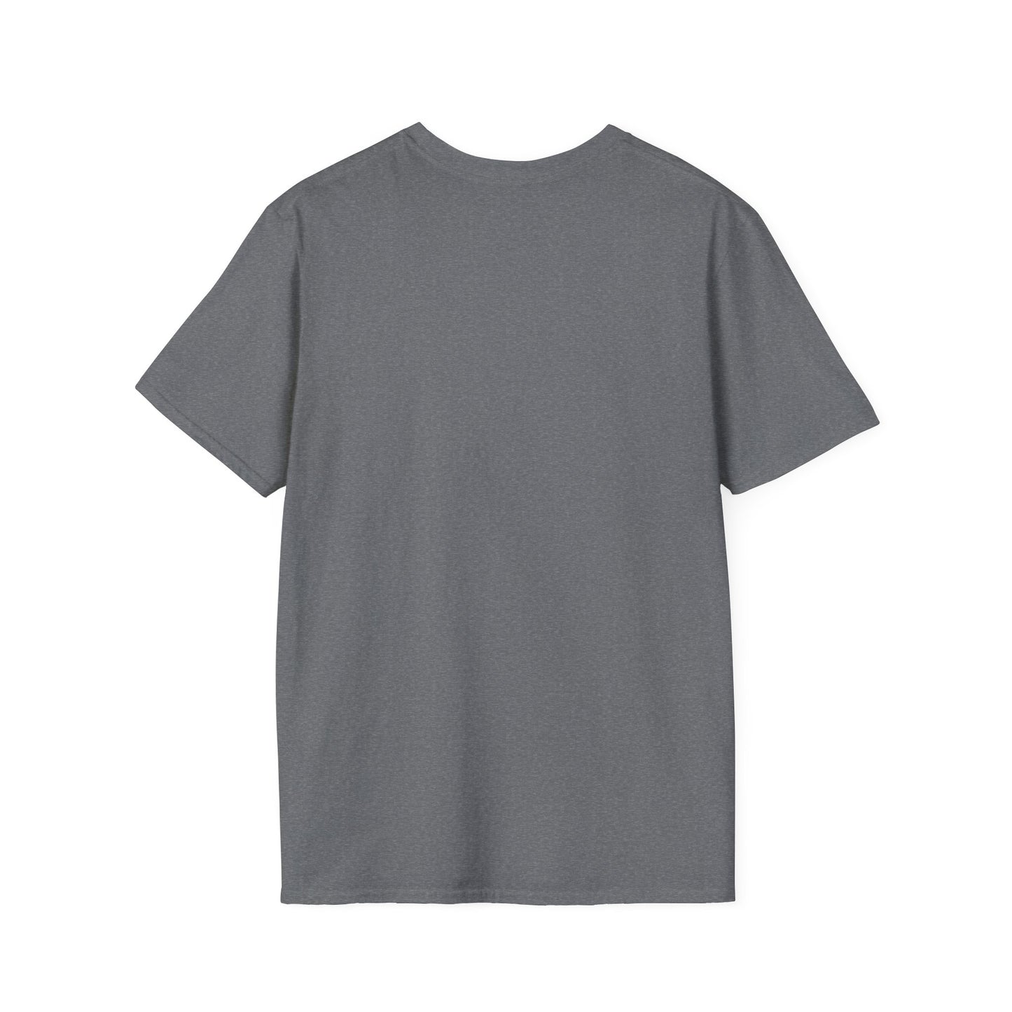 'That setback was a Setup for Success' - Unisex soft style T-Shirt