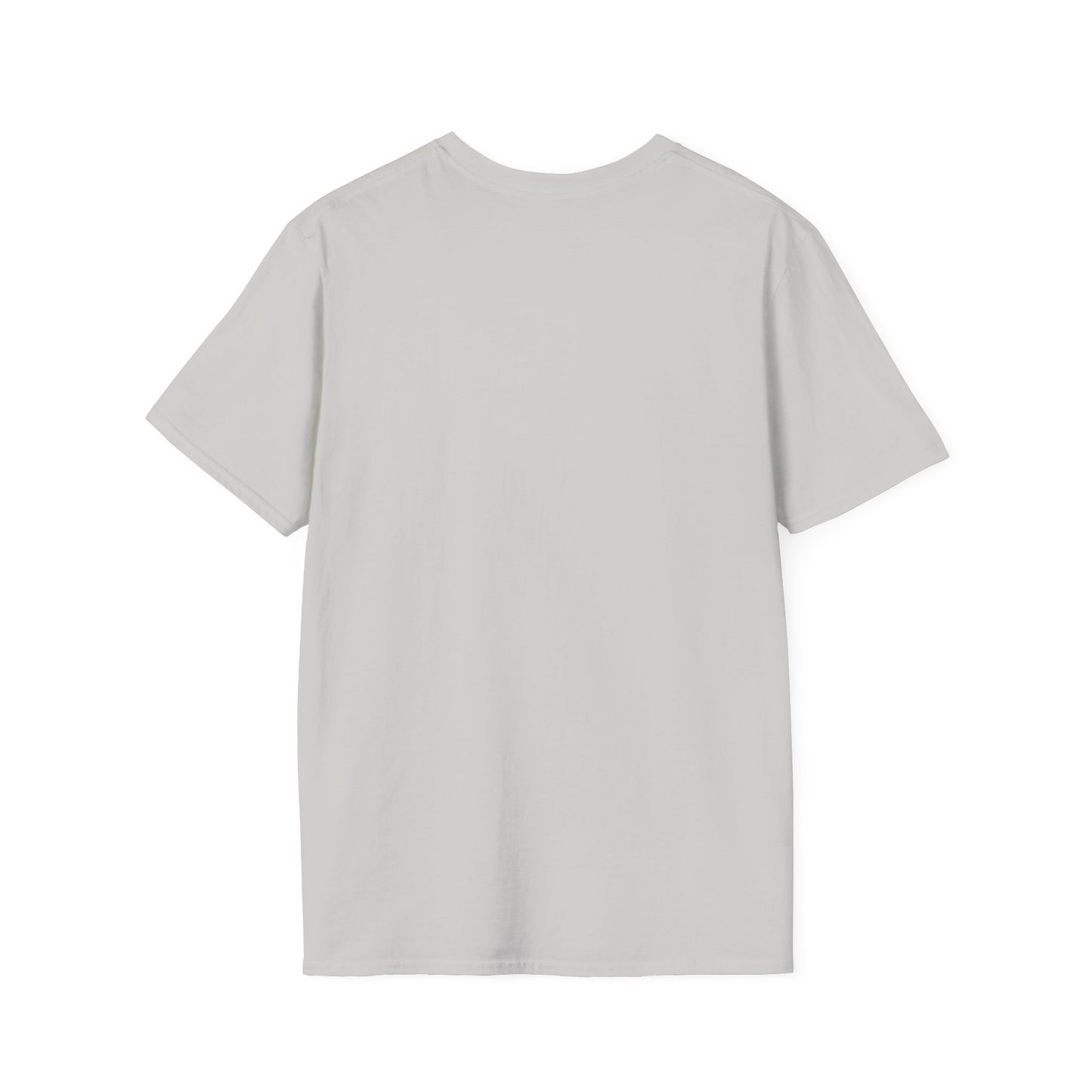 'That setback was a Setup for Success' - Unisex soft style T-Shirt