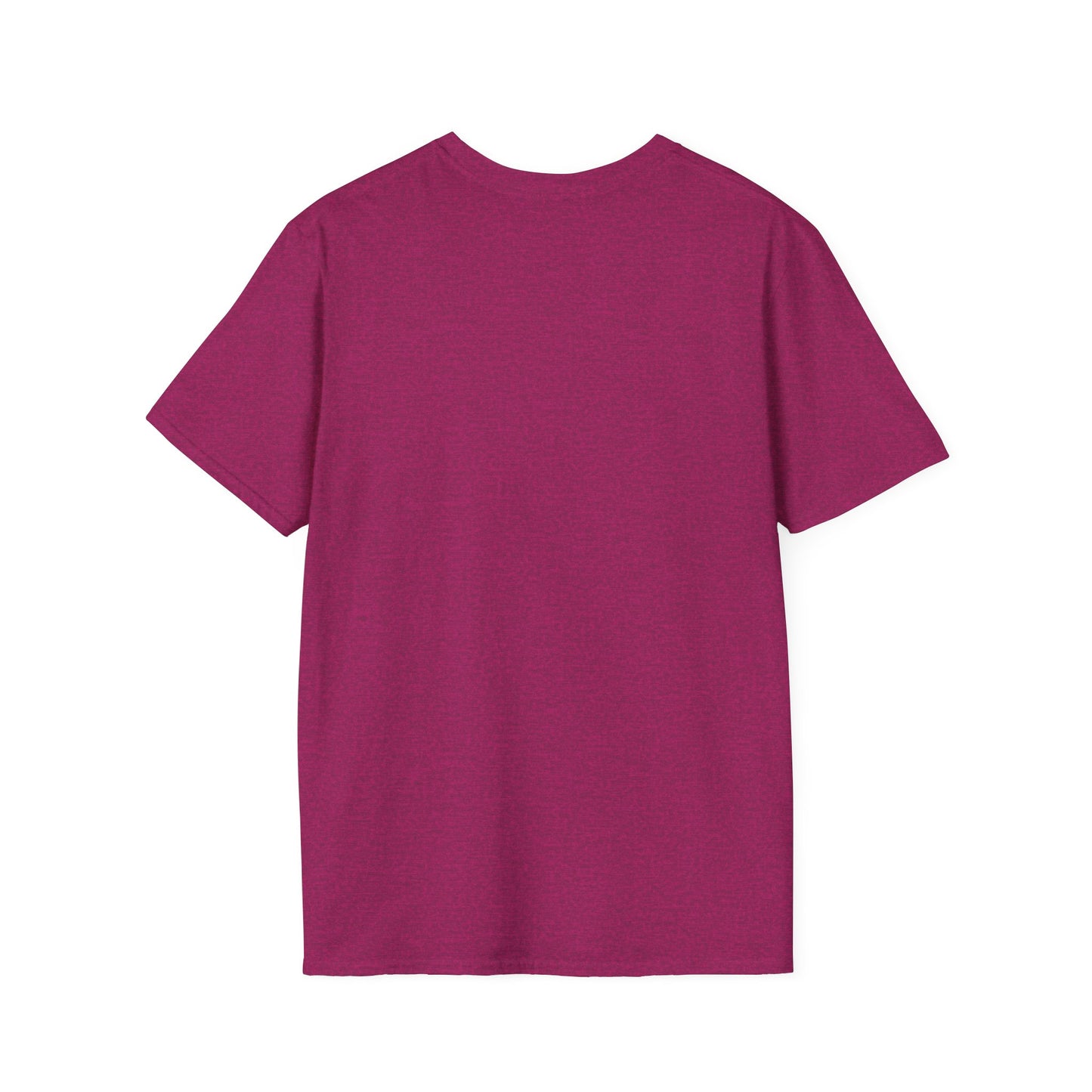 'That setback was a Setup for Success' - Unisex soft style T-Shirt
