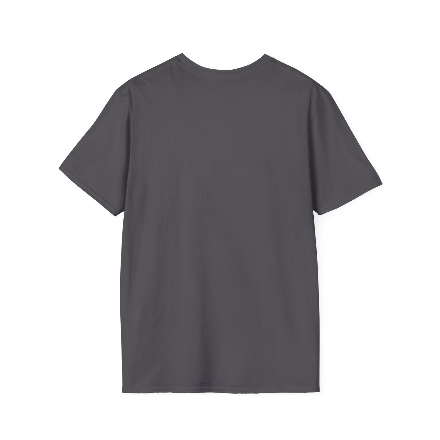DESSY Women's Softstyle T-Shirt - Just a Willing Vessel Women's Design