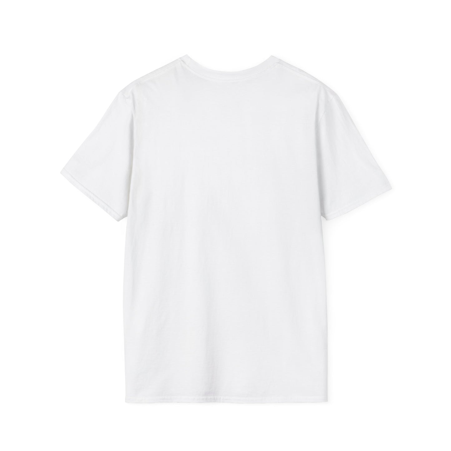 'That setback was a Setup for Success' - Unisex soft style T-Shirt