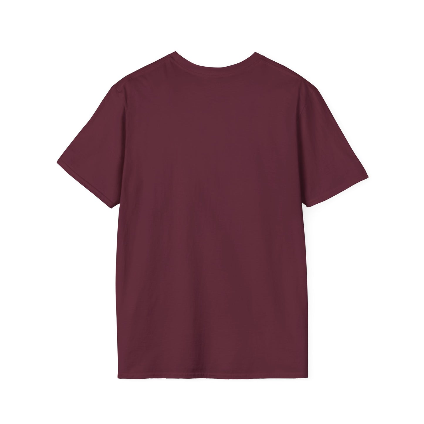 'That setback was a Setup for Success' - Unisex soft style T-Shirt