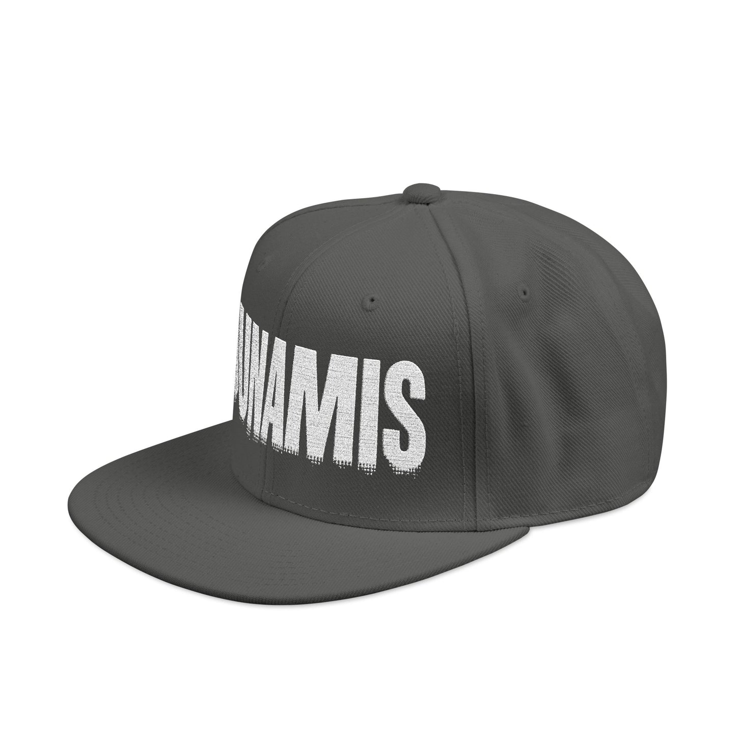 Dunamis - Snapback Cap