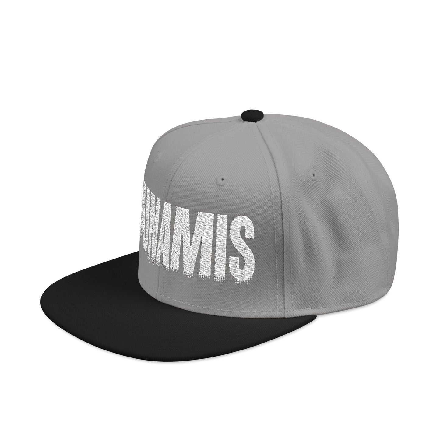 Dunamis - Snapback Cap