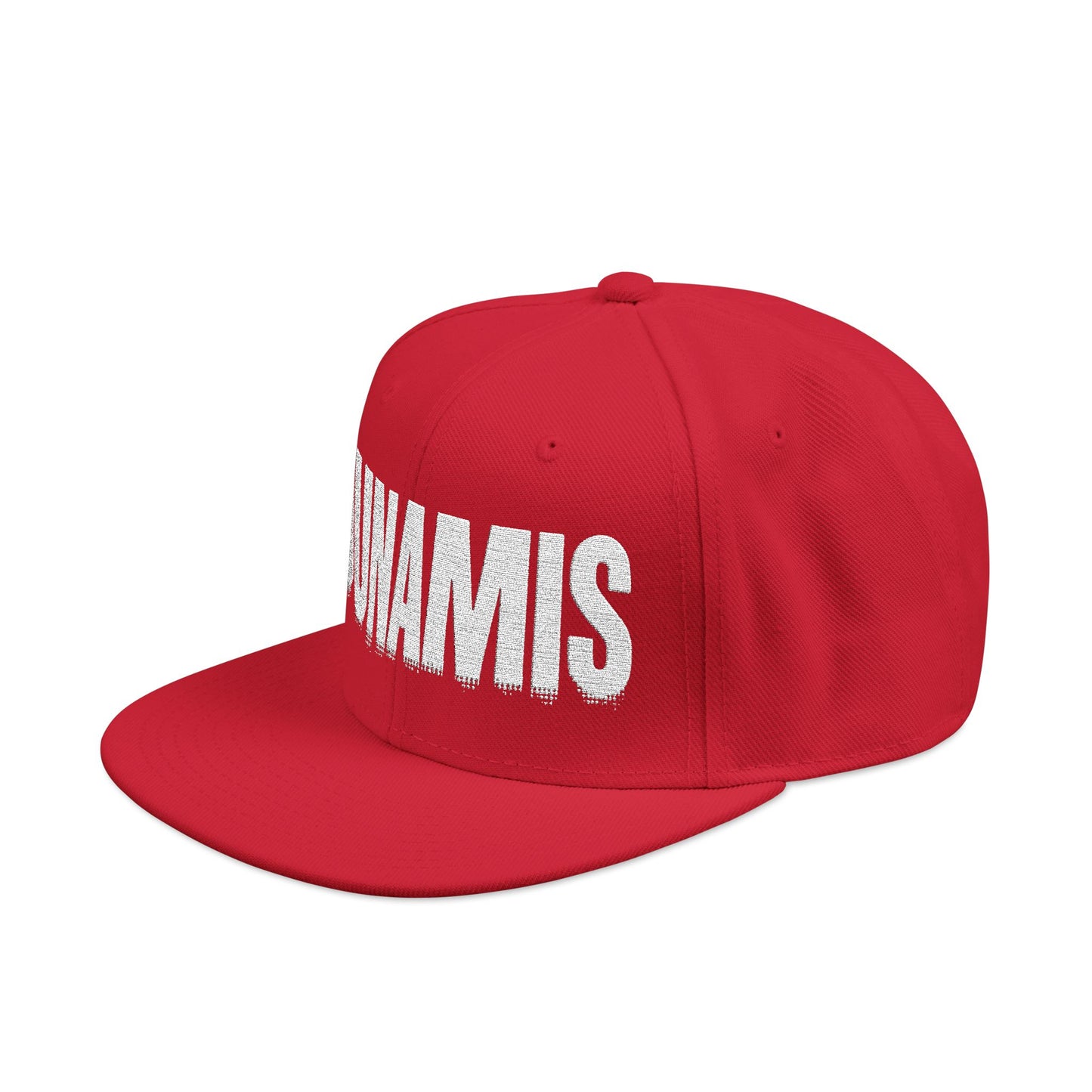 Dunamis - Snapback Cap